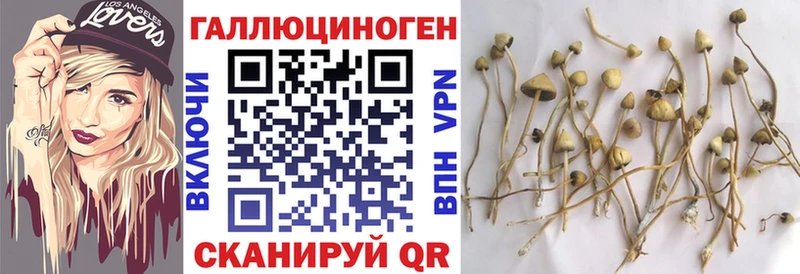 Галлюциногенные грибы GOLDEN TEACHER  hydra как войти  Томмот 